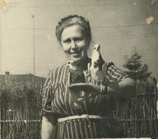 1927-го Надія Суровцова жила у Харкові і навчалася в аспірантурі у Дмитра Багалія. Відмовилася стати таємним співробітником ГПУ і доносити на Юрія Коцюбинського. Її назвали “німецькою шпигункою”, арештували і засудили на 5 років тюрми. Відправляють до в'язниці у місто Ярославль в Росії. Потім у заслання до Архангельська, звідти на Колиму. 1954 року Надію Суровцову амністували