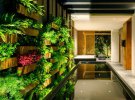 Рослини в інтер'єрі: як стильно озеленити кімнату