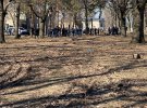 В Харькове в парке возле одной из городских больниц под листьями нашли тело младенца