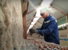 Благодаря кадрам, которые запечатлел украинец Евгений Глашуш на польской живодерне, Польша готова запретить меховую промышленность