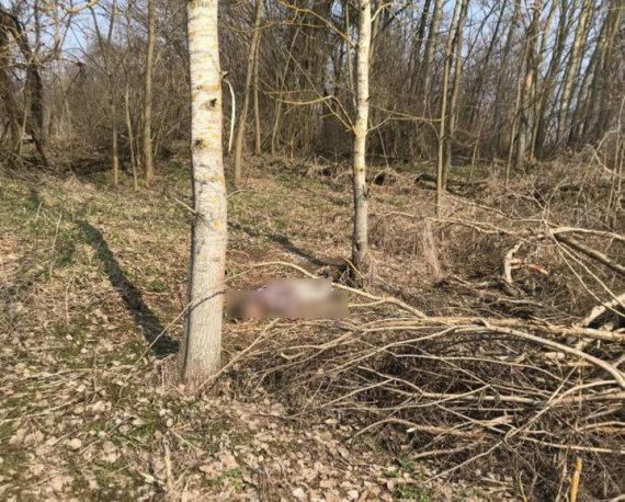 На Київщині знайшли вбитим 52-річного чоловіка. Був у розшуку від початку березня