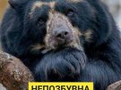 Мем "непозбувна бентега" з'явився 2017-го, з перекладу роману "Маг" Джона Фаулза