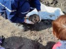 На Київщині виявили поховання жертв Голодомору