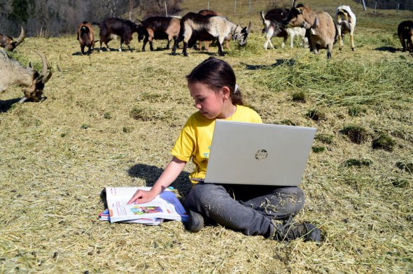 Італійка 10-річна Фіаметта Меліс вчить уроки за своїм ноутбуком на гірському пасовищі
