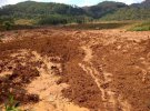 В Індонезії стався гігантський зсув ґрунту.