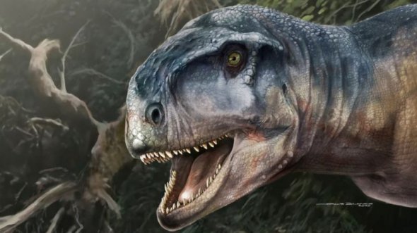 Рогатый динозавр Llukalkan aliocranianus имел длину около 5 метров и бродил по Южной Америке 85 миллионов лет назад