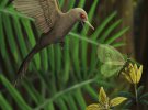 Крихітному динозавру, знайденому в бурштині, 99 мільйонів років