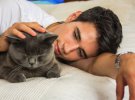 Поглаживание кошек уравновешивает нервную систему и уменьшает стрессы