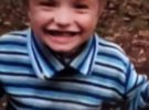 У селі Холонів на Волині зник 7-річний Матвій Полянський. Наступного дня його знайшли в болоті. Хлопчик живий. Розповів, що утік і боявся повертатися додому