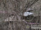 Отрезанные части тела, которые нашли школьники в Снопковском парке Львова, принадлежали 58-летней местной жительнице