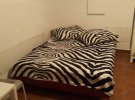 Кровать в комнате для прохождения карантина обойдется от 200 до 500 гривен