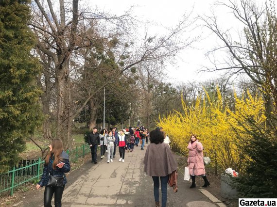 С первым потеплением в Ботаническом саду имени Александра Фомина возросло количество посетителей.