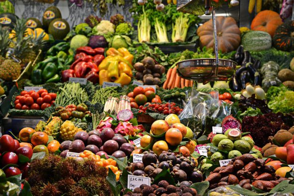 Аграріям не вистачає сезонних працівників для збору ягід, фруктів та овочів