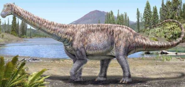 Учені виявили новий вид динозаврів