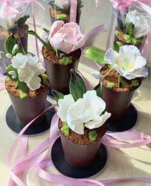 Торти у вигляді вазонів з квітами випікає вінничанка Олена Бойко. Один коштує від 300 гривень