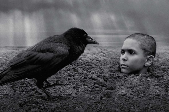 Екранізацію скандального роману Єжи Косинського «Пофарбоване пташеня» зняли в копродукції України, Чехії та Словаччини. Потрапив до короткого списку «Оскару». Головну роль втілив Петр Котлар. Також знімалися українські актори.