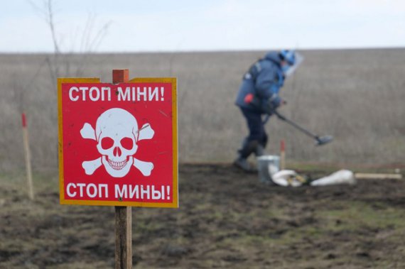 Сотрудники ГСЧС разминировали поле в районе Гнутово. Фото: ГСЧС