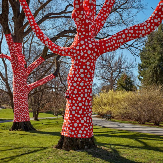 У Нью-Йорку  художниця Яйой Кусама прикрасила ботанічний сад горошком