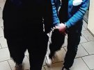 У Сіверськодонецьку на Луганщині 6-річна дівчинка стала жертвою ґвалтівника. Зловмисника затримали. Це - 48-річний раніше судимий місцевий житель
