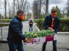 Посол Нидерландов подарил украинским врачам 600 горшков тюльпанов