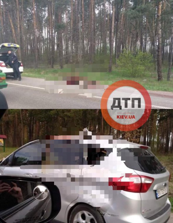Удар прийшовся на ліву частину авто, рогами вибите бокове скло