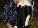Бывшая пленница Кремля, экс-нардеп Надежда Савченко в свободное время доит коров