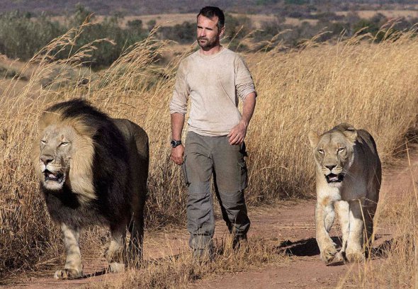 Зоолог приручил львов гиен и леопардов