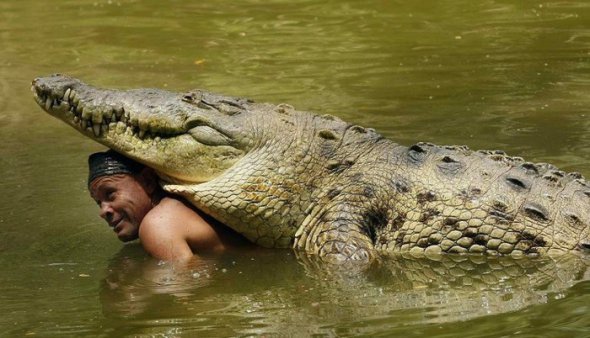Гільберто Шедден жив з крокодилом 