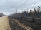В Канаде начался лесной пожар