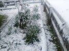 В Карпатах выпал снег