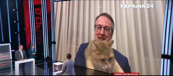 Кіт Антона Геращенка увірвався в прямий ефір
