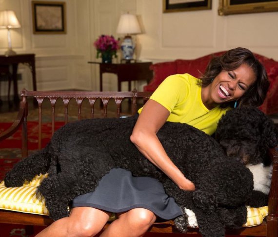 44-й президент США Барак Обама та його дружина Мішель завели собаку Бо після виборів у 2008 році