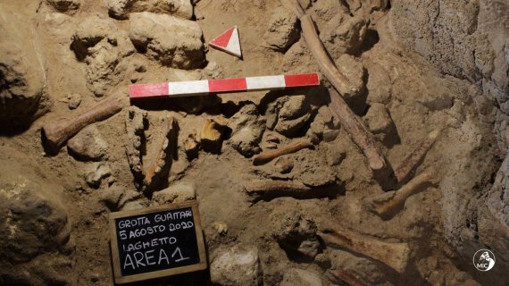 В Италии нашли скелеты неандертальцев