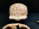 В Италии нашли скелеты неандертальцев
