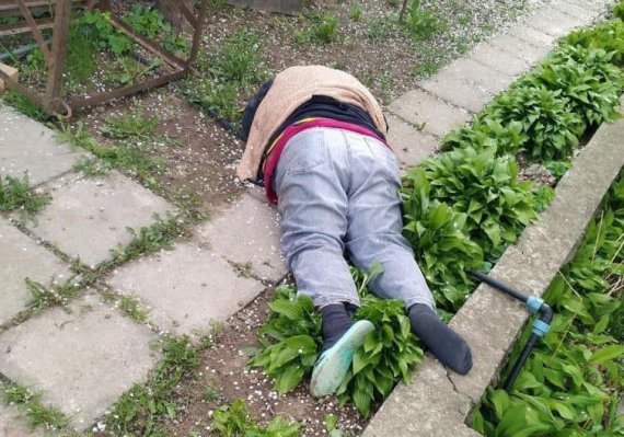 31-річний таксист із Одеси напав на власну тітку в селі під Києвом, щоб розплатитися з боргами
