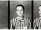 В'язень Освенциму