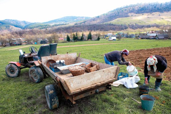 Жінки працюють на городі в селі Головецько Самбірського району на Львівщині. Цьогоріч українці садять картоплю пізніше звичного. Весна видалася холодною, до кінця квітня в частині областей були нічні заморозки, вдень ішов сніг