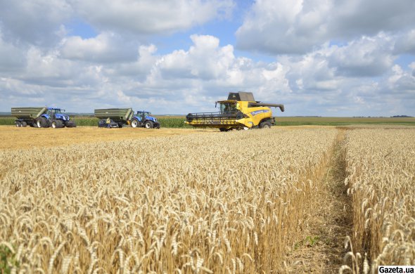 Матимемо найкращий урожай озимої пшениці за всю історію. Очікується 28,5 мільйонів тонн