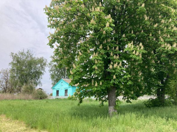 Старая церковь в селе Ставы