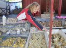 Продавщица Владислава Гончаренко предлагает суточных цыплят и утят