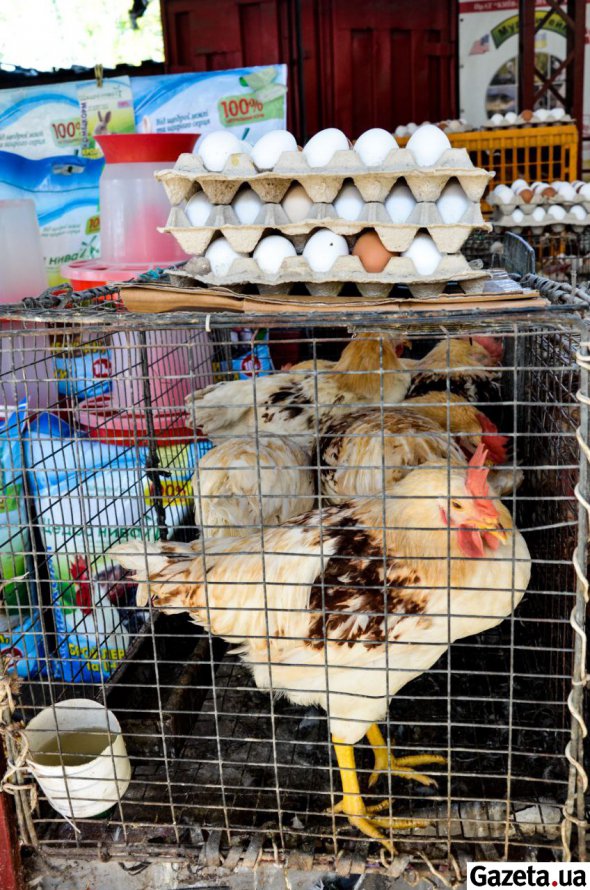 Производство курятины сейчас убыточно. Птицеводы уменьшают поголовье