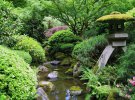 Японський сад на дачі своїми руками