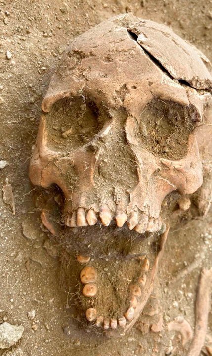 На Карибах нашли скелеты рабов