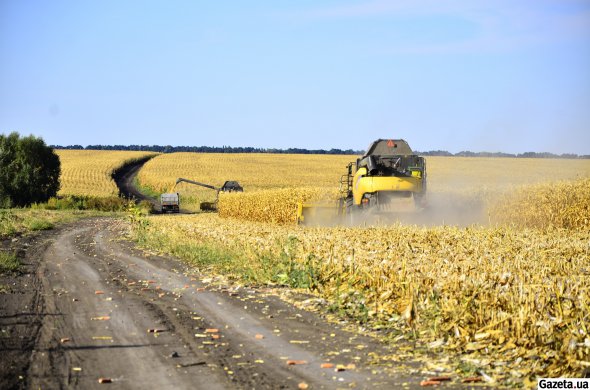 Закон про продаж земельних ділянок через електронні аукціони необхідний для запуску ринку землі 1 липня