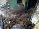 В Кривом Роге во время пожара в частном доме нашли обгоревшие тела владельца и неизвестной женщины