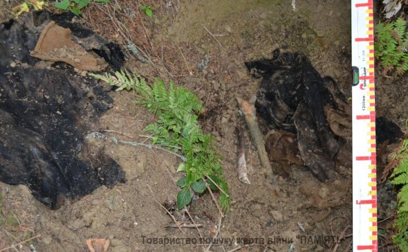 Останки солдат времен Первой мировой войны, разбросанные черными копателями