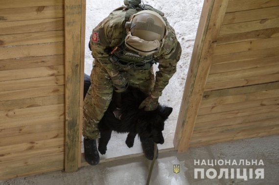 Правоохранители показали, как на Житомирщине тренируют служебных полицейских собак