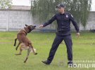 Правоохоронці показали, як на Житомирщині тренують службових поліцейських собак