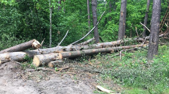 Жителі знесли паркан забудовника, сільський голова відсидівся "поза зоною доступу"