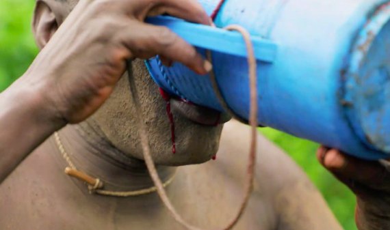 Мужчины с эфиопского племени пьют кровь и молоко коровы для участия в "конкурсе красоты"